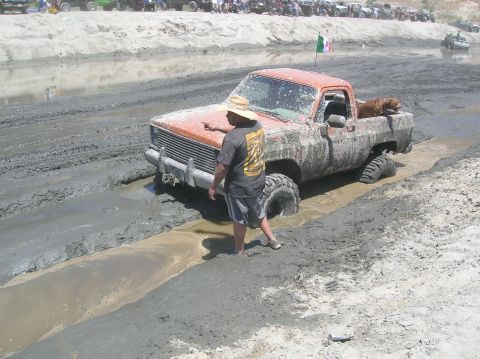 1985 Ford Bronco - A person points at an orange pickup truck submerged in mud, with a dog in the truck bed.