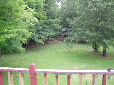 1989 Ford F-250 - A view of a backyard with lush green grass and mature trees, seen from a deck.