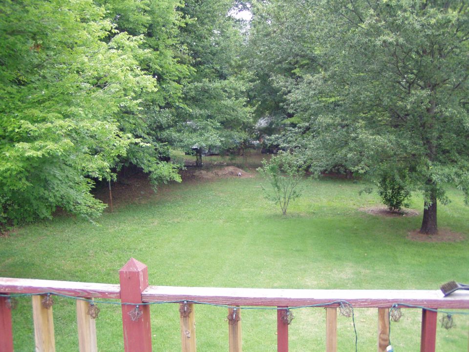 Backyard with green grass, trees, and a wooden railing in the foreground
