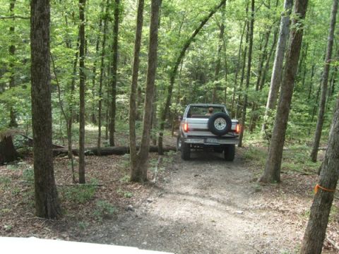 1992 Ford Bronco - 1992 Ford Bronco navigating a wooded trail.