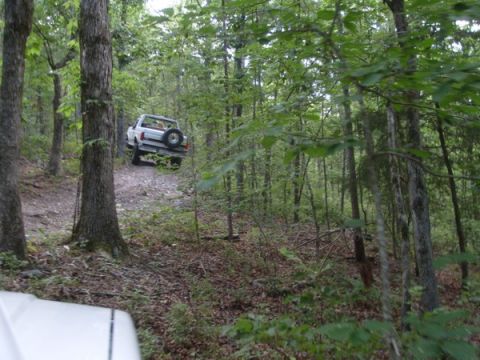 1992 Ford Bronco - A white SUV navigates a wooded trail, its spare tire visible on the rear.