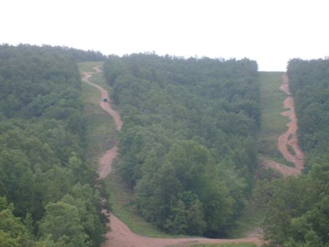 1992 Ford Bronco - An SUV navigates a steep dirt road winding through a dense forest.