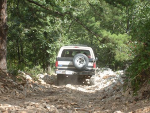1992 Ford Bronco - Ford Bronco navigates a rough, off-road path through a forest.