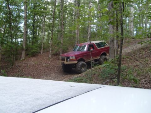 1992 Ford Bronco - A red 1992 Ford Bronco navigates a wooded trail with large tires and a tan removable top.