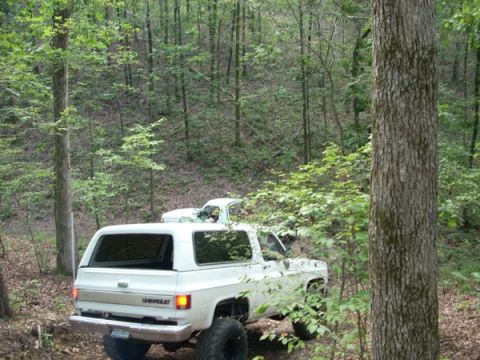 1992 Ford Bronco - Two white SUVs navigate a forest trail, with a Chevrolet K5 Blazer in the foreground.