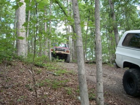 1992 Ford Bronco - Two off-road vehicles navigate a wooded trail, with one truck ascending a slope.