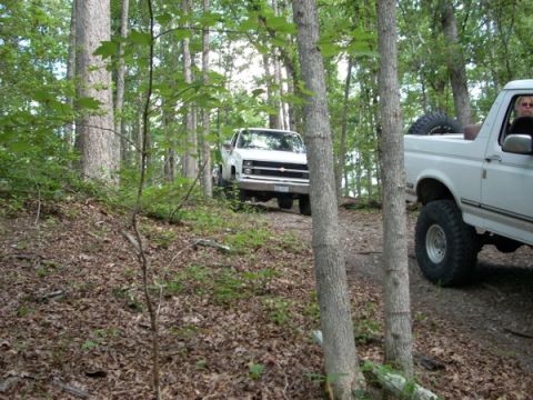 1992 Ford Bronco - A white 1992 Ford Bronco and a white pickup truck are parked on a dirt path surrounded by trees.