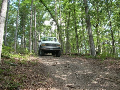 1992 Ford Bronco - A white 1992 Ford Bronco navigates a wooded trail, its front grille and headlights visible.