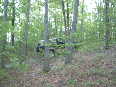 1992 Ford Bronco - 1992 Ford Bronco seen off-road in a forest setting.