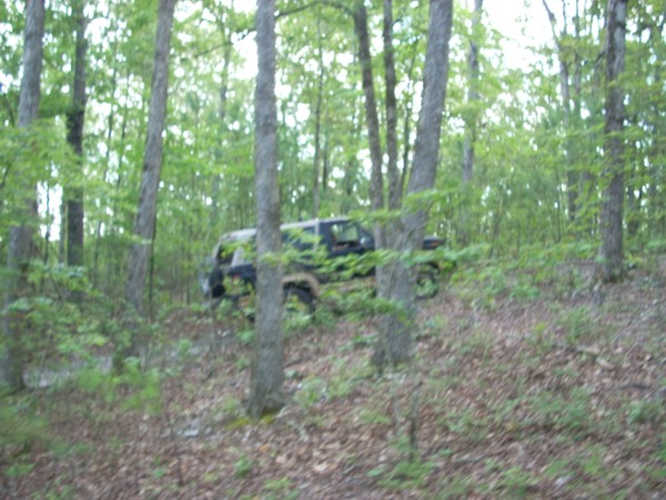 1992 Ford Bronco parked on a wooded hillside