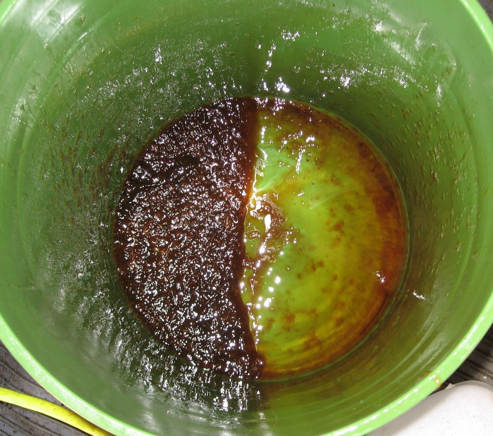 On the left is the total amount of floating KOH soap that I skimmed off, with a little bit of BD that separated back off on the right.  I poured that back into the tank through the filter once I hung it.