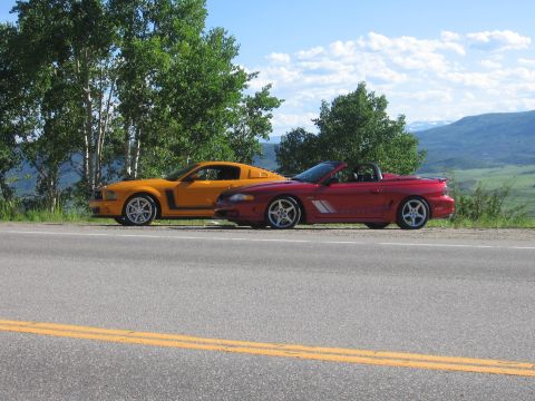 2007 Saleen S-302 - Two Ford Mustangs, a red convertible and a yellow coupe, are parked on the side of a road with trees and mountains in the background.
