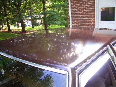 1982 Ford Crown Victoria LTD - The metallic brown paint on the roof of this 1982 Ford Crown Victoria LTD reflects the surrounding trees and sky.