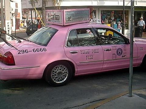 2001 Ford Crown Victoria - A pink 2001 Ford Crown Victoria taxi is parked on a street with a "THINK PINK TAXI" sign on its side.