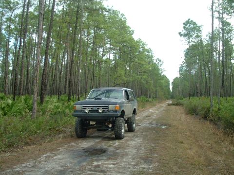 1995 Ford Bronco - A lifted SUV drives down a dirt road surrounded by tall pine trees and palmettos.