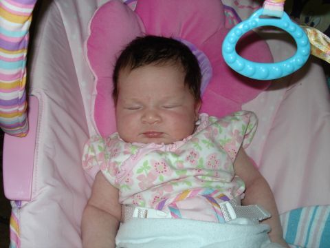 2000 Ford Crown Victoria - Baby sleeping soundly in a pink bouncer seat with floral print clothing.