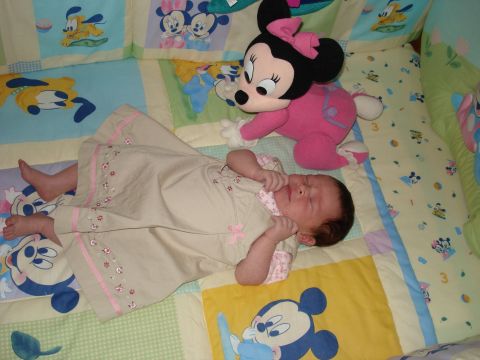 2000 Ford Crown Victoria - A baby sleeps soundly in a crib next to a Minnie Mouse plush toy.
