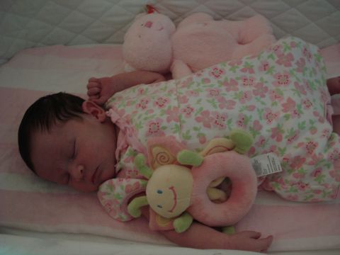 2000 Ford Crown Victoria - A baby sleeps soundly surrounded by soft pink stuffed animals and a floral blanket.