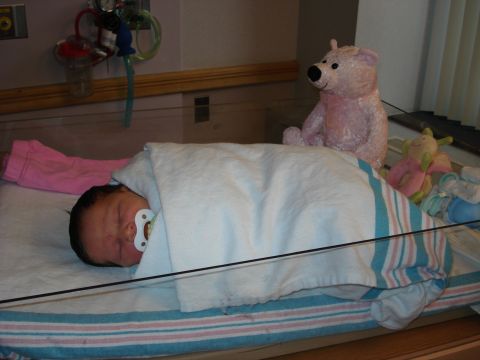 2000 Ford Crown Victoria - A newborn rests peacefully in a hospital bassinet, surrounded by comforting toys and medical equipment.
