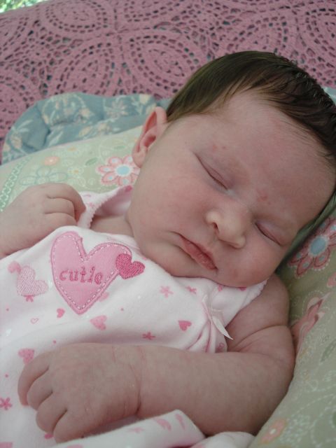 2000 Ford Crown Victoria - Baby girl sleeping soundly on a pink blanket, wearing a "cutie" onesie.