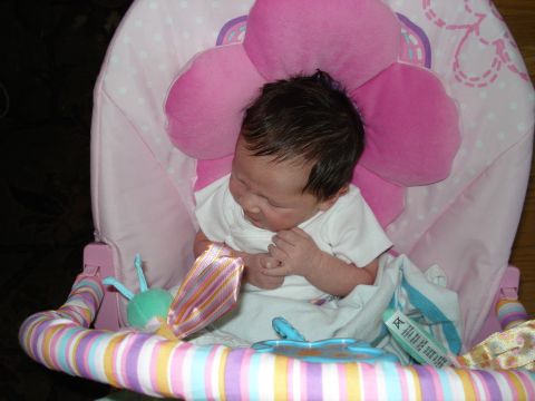 2000 Ford Crown Victoria - A newborn baby rests in a pink bouncer seat, surrounded by colorful toys and soft padding.
