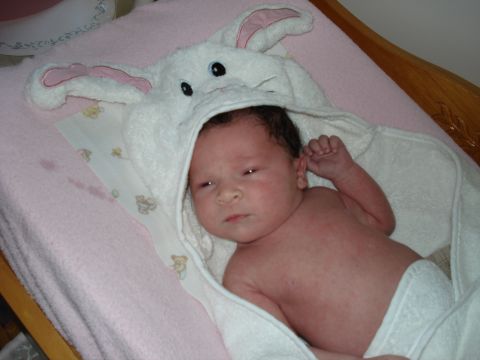 2000 Ford Crown Victoria - A baby is wrapped in a soft bunny towel, looking towards the camera.