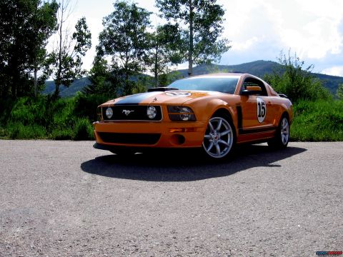 2007 Saleen S-302 photo