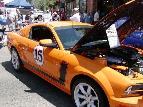 2007 Saleen S-302 photo