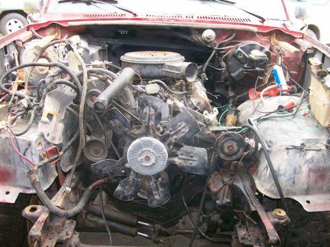 1982 Ford Bronco - The engine compartment of a red vehicle is shown with its engine exposed, revealing numerous hoses and electrical wiring.