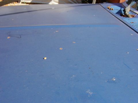1985 Ford F-250 - Close-up of a blue truck hood, showing surface imperfections and a website watermark.