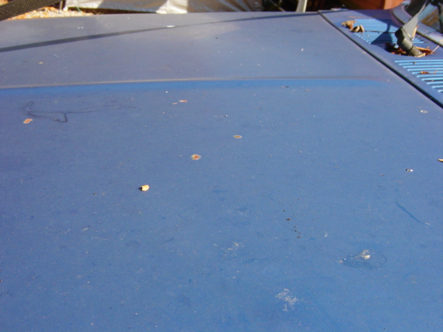 Blue truck hood with scattered debris and a visible Supermotors.net watermark