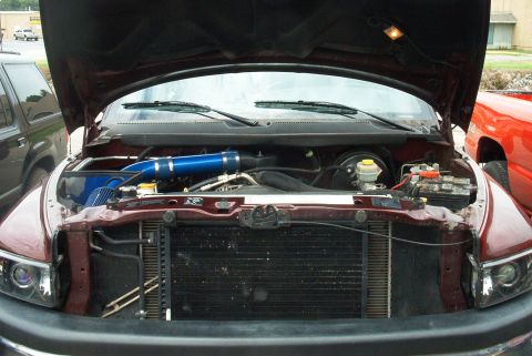 2001 Dodge 1500 - Engine bay of a 2001 Dodge 1500 showing an aftermarket intake system.