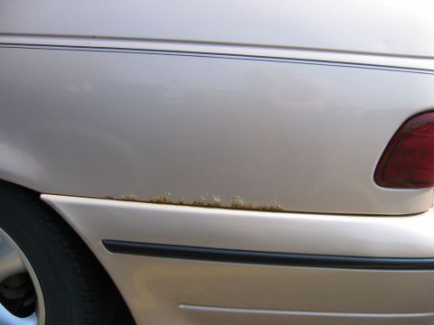 1991 Ford Taurus photo