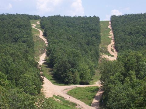 1986 Ford Bronco - Dirt roads cut through a heavily wooded hillside landscape on a clear day.