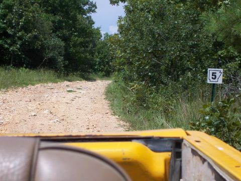 1986 Ford Bronco - View from inside a yellow vehicle driving on a dirt road, with trees lining the path and a numbered signpost.
