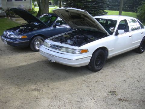 1997 Ford Crown Victoria - Two Ford Crown Victorias are parked outside with their hoods open, revealing their engines.