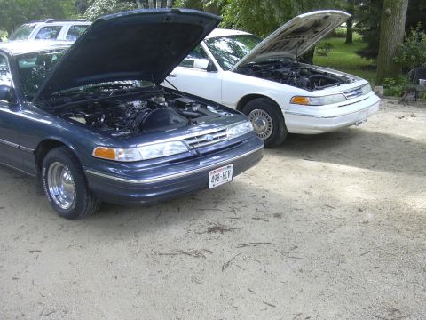 1997 Ford Crown Victoria - Two 1997 Ford Crown Victorias are parked side-by-side with their hoods open, revealing their engines.