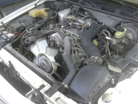 1997 Ford Crown Victoria - The engine bay of a vehicle is shown, various components and hoses.
