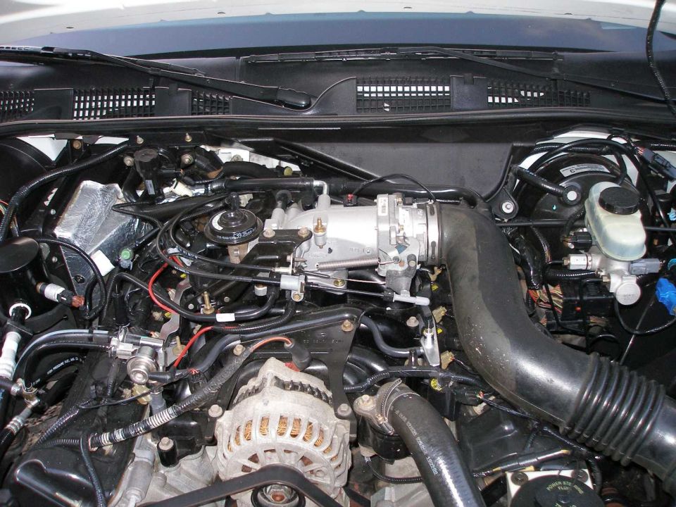 Cleaned V8 engine bay with bare aluminum intake manifold, throttle body and alternator