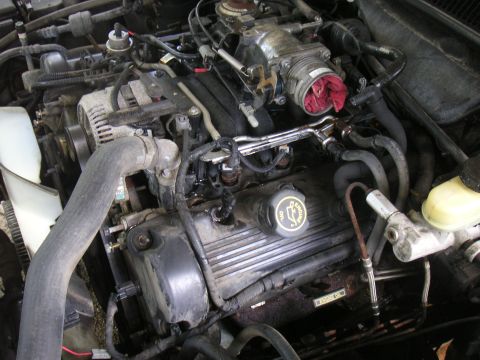 1997 Ford Crown Victoria - Engine bay of a Ford V8, likely from a 1997 Crown Victoria, showing various components.