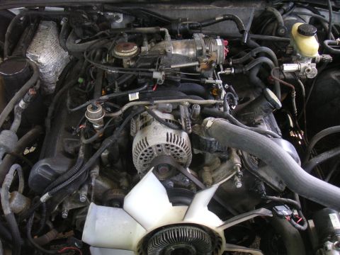 1997 Ford Crown Victoria - Close-up view of a V8 engine bay, showing various components and wiring.