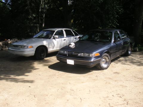 1997 Ford Crown Victoria - A pair of Ford Crown Victorias, one white and one dark blue, are parked side-by-side in a dirt lot with trees in the background.