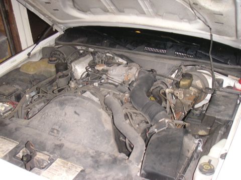 1997 Ford Crown Victoria - The engine bay of a 1997 Ford Crown Victoria is shown with the hood open.