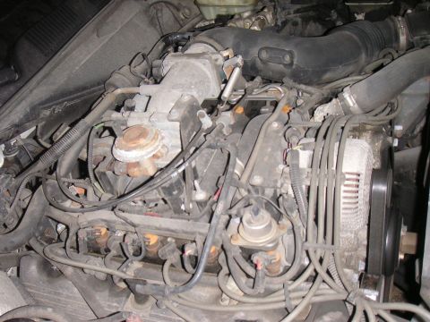 1997 Ford Crown Victoria - Close-up view of a vehicle's engine bay, showing numerous parts and connections.
