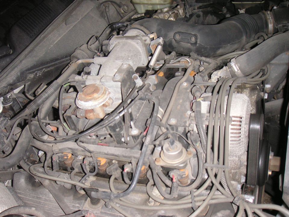Engine bay with various hoses, wires, and engine components visible. Alternator on the right side