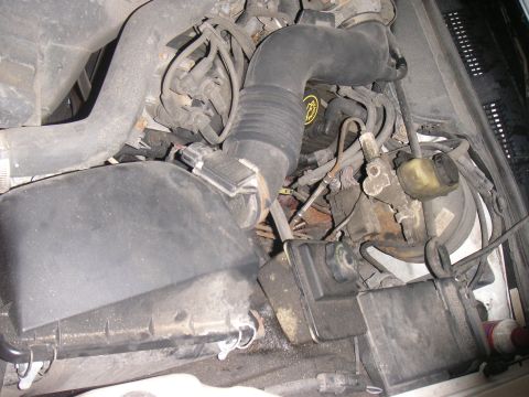 1997 Ford Crown Victoria - The engine bay of a 1997 Ford Crown Victoria is visible, with various hoses and components.