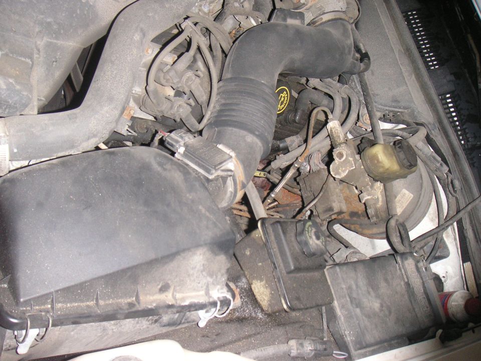 Engine bay of a 1997 Ford Crown Victoria, showing air intake, hoses, and engine components