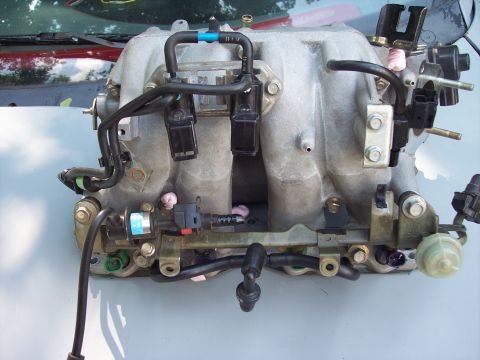 1994 Ford Probe - This intake manifold is not from a 1994 Ford Probe.