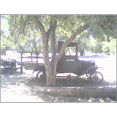 1973 Ford Ranchero - A vintage truck with a wooden bed sits parked beneath a large tree on a sunny day.
