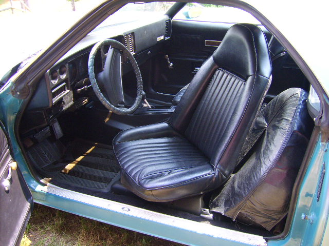 Interior of teal coupe with black vinyl bucket seats and dashboard, door open to grass
